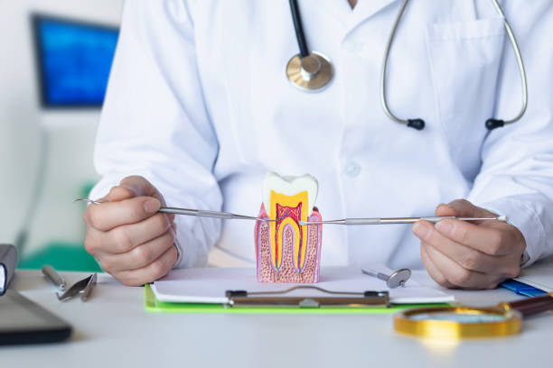 Best Emergency TMJ Treatment in Sandia Knolls, NM